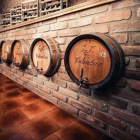Apartmán Tabacov Moravia Brumovice